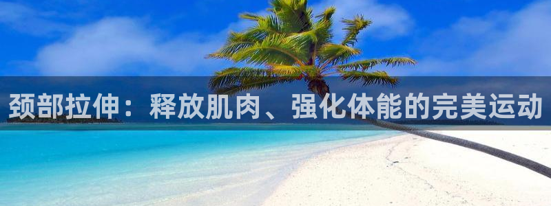 bsport体育：颈部拉伸：释放肌肉、强化体能的完美运动