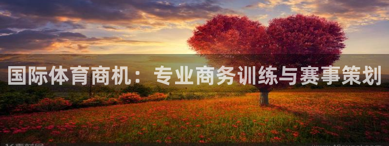 bsport体育官网：国际体育商机：专业商务训练与赛事策划