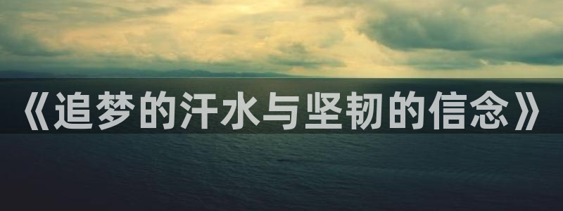 bsport体育官网：《追梦的汗水与坚韧的信念》