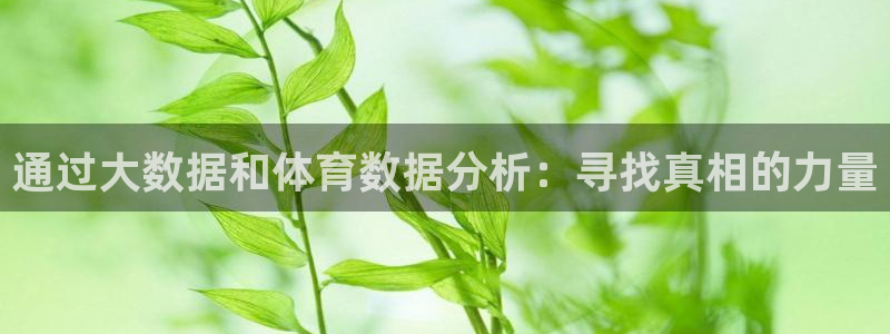 bsport体育官网下载：通过大数据和体育数据分析：寻找真相的力量