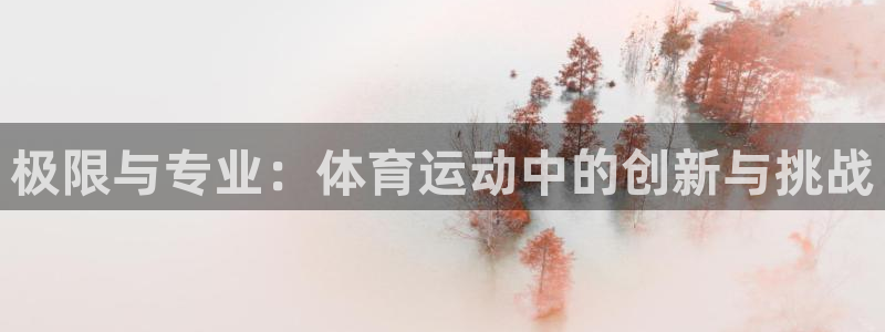 Bsport体育最新版官方入口：极限与专业：体育运动中的创新与挑战